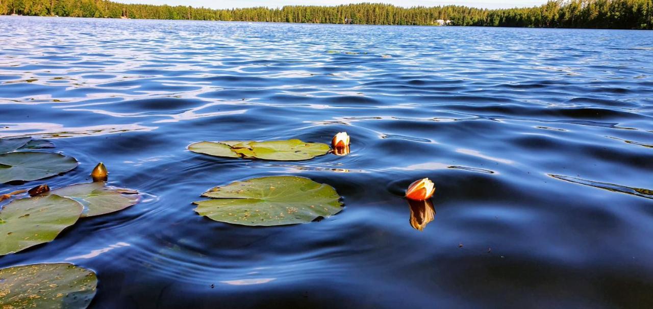 ホテル Luksusteltta Omalla Uimarannalla Jyväskylä エクステリア 写真